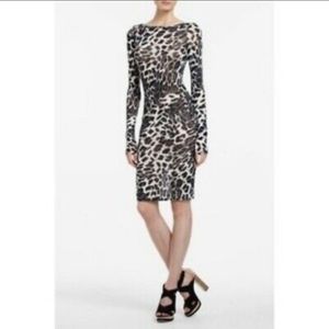 Bcbg Max Azria Felicia Cheetah knit dress